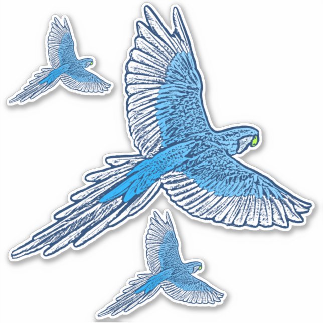 Parrot in Flight, Cobalt Blue and White (Front)