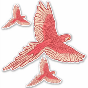 Parrot in Flight, Coral Orange and Cream