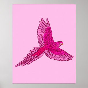 Parrot in Flight, Fuchsia and Ice Pink Poster
