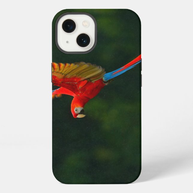 Parrot in Flight iPhone Case (Back)