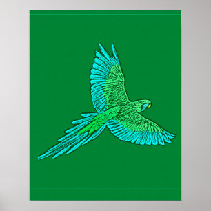 Parrot in Flight, Jade Green and Turquoise Poster