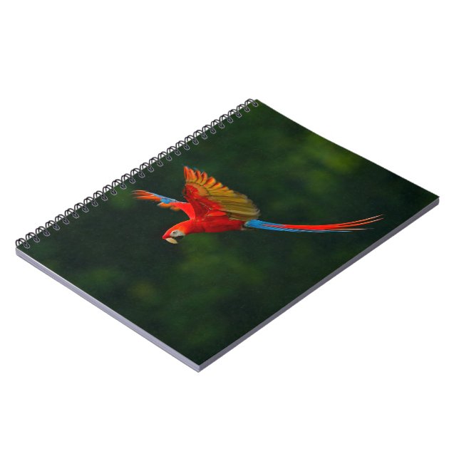 Parrot in Flight Notebook (Left Side)