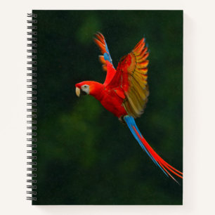 Parrot in Flight Notebook
