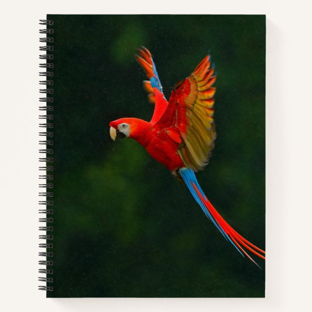 Parrot in Flight Notebook (Front)