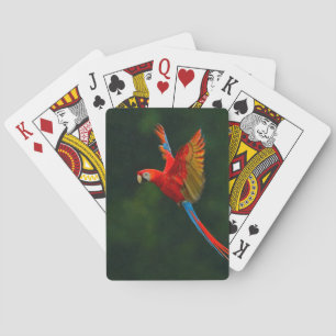 Parrot in Flight Playing Cards