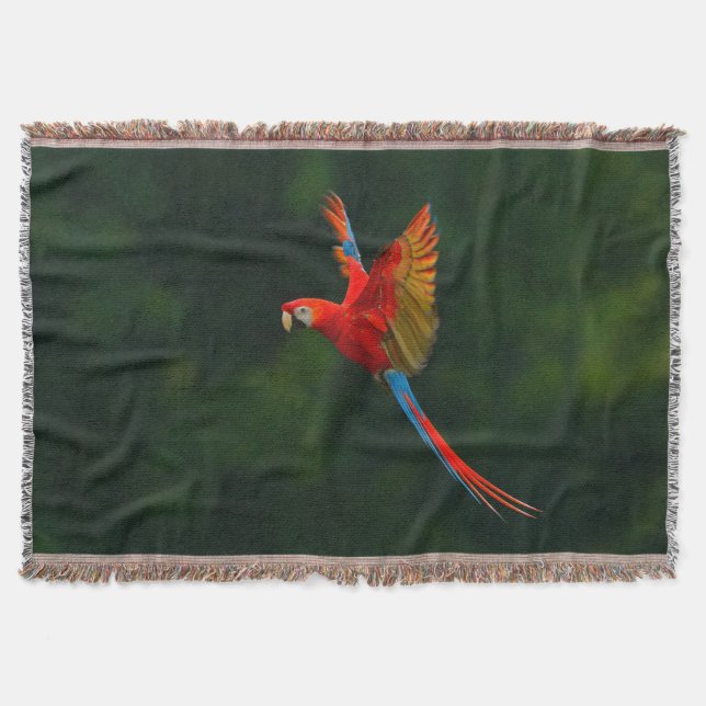 Parrot in Flight Throw Blanket (Front)