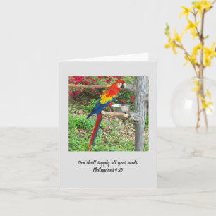 Parrot Inspirational Note Card