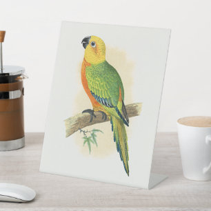 Parrot, Jendaya Conure, Pedestal Sign