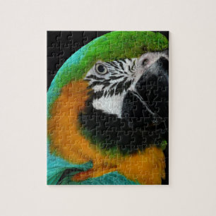 Parrot Jigsaw Puzzle