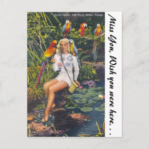 Parrot Jungle,  Miami,  Florida Postcard