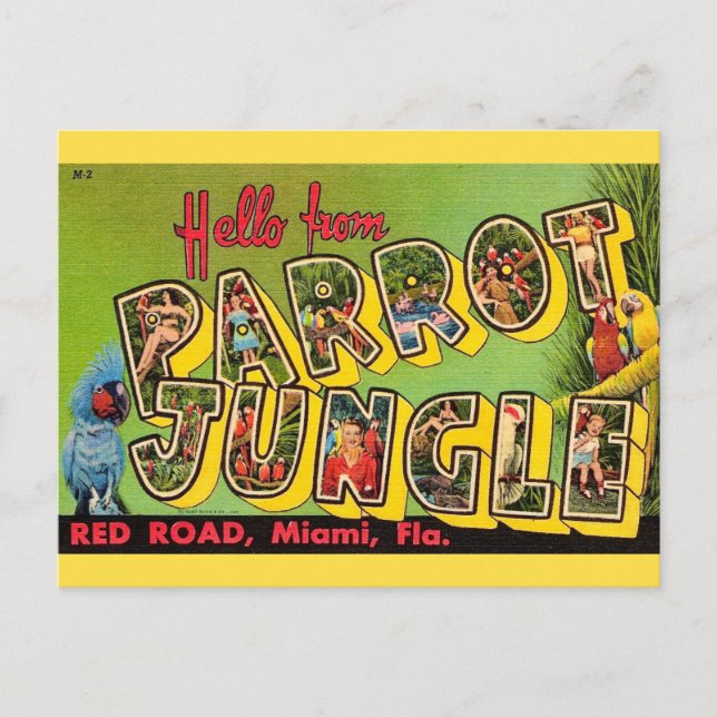 Parrot Jungle Miami Vintage Postcard (Front)