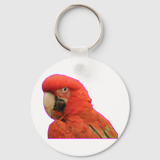 Parrot Key Ring