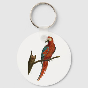 Parrot Key Ring