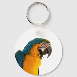 Parrot key ring