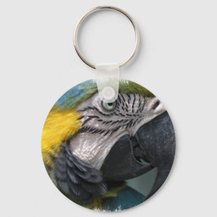 Parrot Keychain