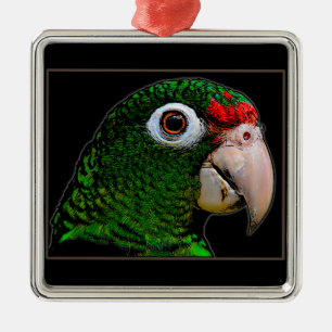 Parrot / La Cotorra Metal Tree Decoration