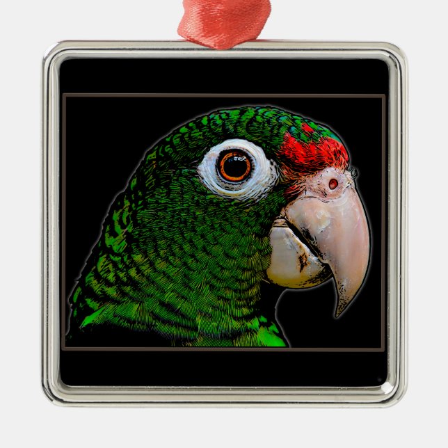 Parrot / La Cotorra Metal Tree Decoration (Front)