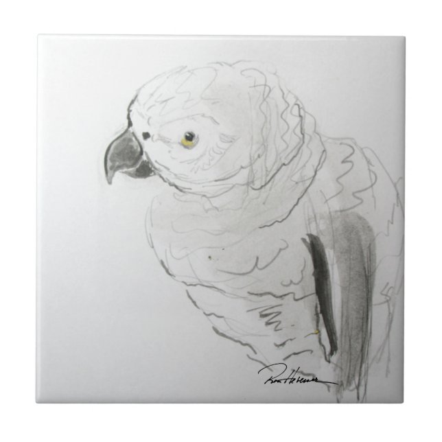 Parrot Listening Closely . . . Tile (Front)