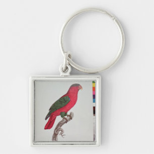 Parrot: Lory or Collared Key Ring