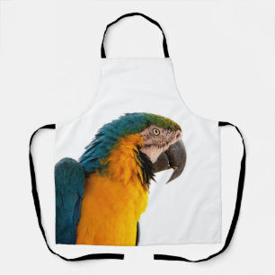 Parrot macaw apron
