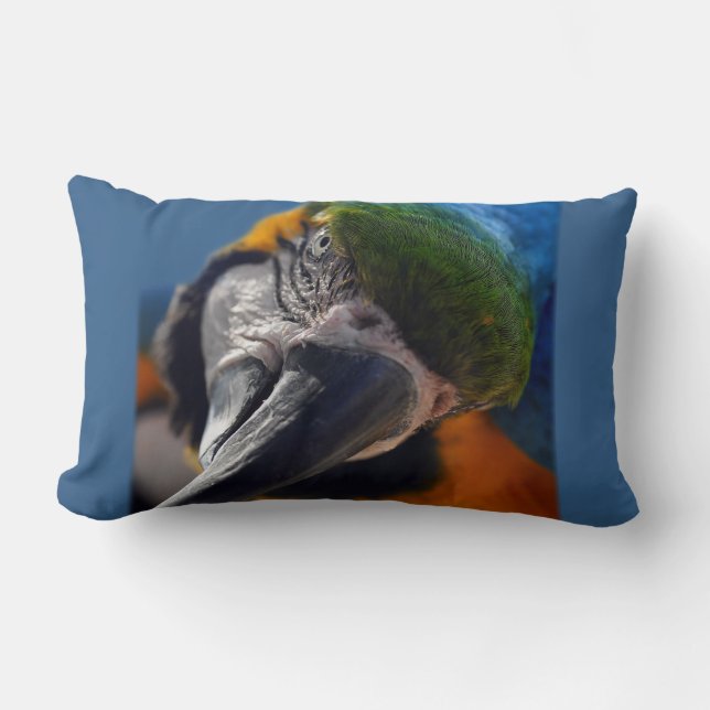 Parrot Macaw Bird Decorative Throw Pillow (Front)