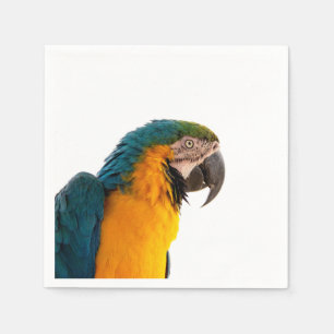Parrot macaw napkin