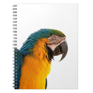 Parrot macaw notebook