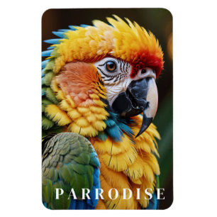 Parrot Magnet