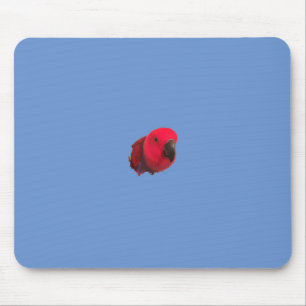 Parrot mouse pad