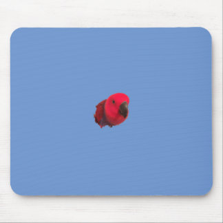 Parrot mouse pad