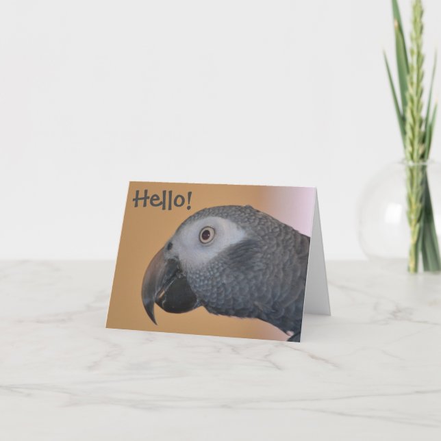 Parrot Note Card (Front)