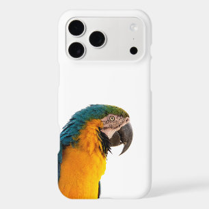 Parrot Notes