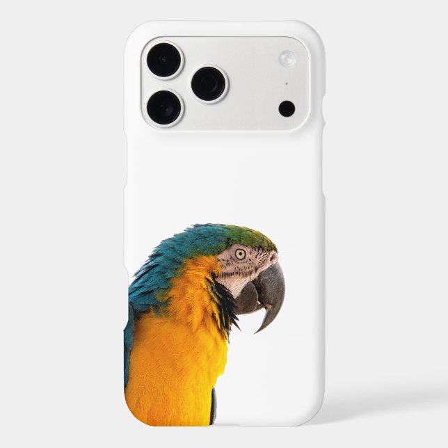 Parrot Notes (Back)