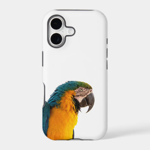 Parrot Notes