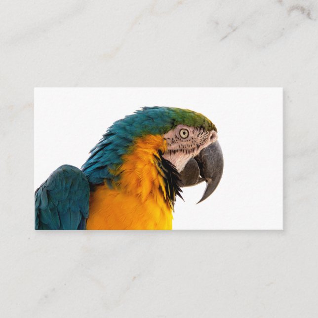 Parrot Notes Business Card (Front)