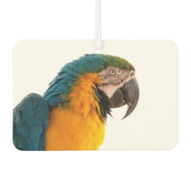 Parrot Notes Car Air Freshener (Front)