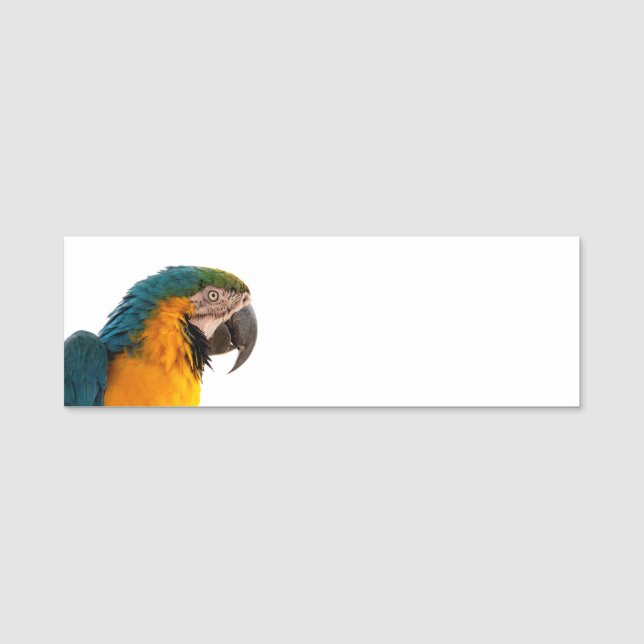 Parrot Notes Name Tag (Front)