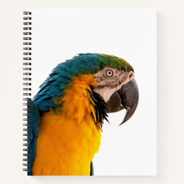 Parrot Notes Notebook (Front)