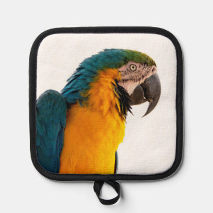 Parrot Notes Pot Holder