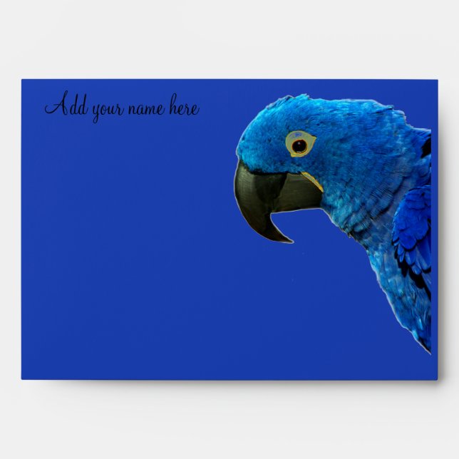 Parrot of Love_ Envelope (Front)