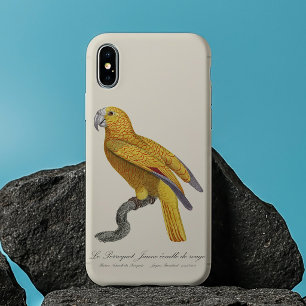 Parrot of Paradise of Cuba, Psittacus Paradisi iPhone 13 Pro Max Case