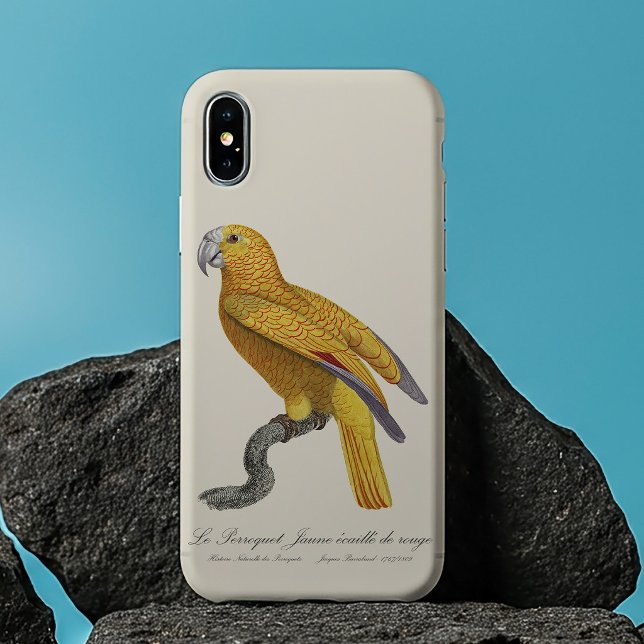 Parrot of Paradise of Cuba, Psittacus Paradisi Case-Mate iPhone Case (Le Perroquet Jaune ecaille de rouge. iPhone 13 Pro Max Case)