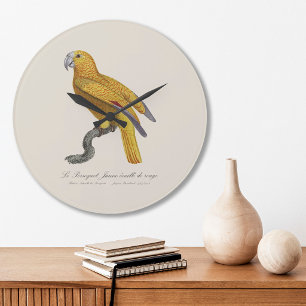 Parrot of Paradise of Cuba, Psittacus Paradisi Large Clock