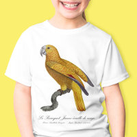 Parrot of Paradise of Cuba, Psittacus Paradisi