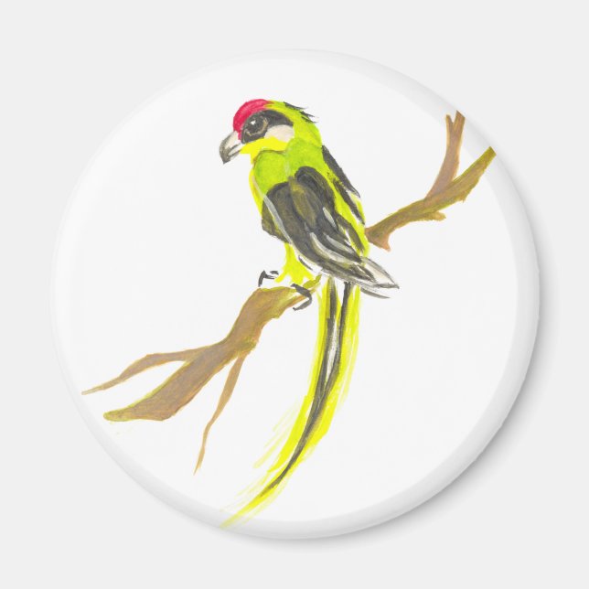 Parrot on a branch. Watercolor painting. Magnet (Front)