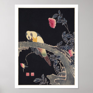 Parrot on the Branch, Flowering Rose Bush, Jakuchū Poster