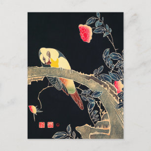 Parrot on the Branch of a Flowering Rose Bush Postcard