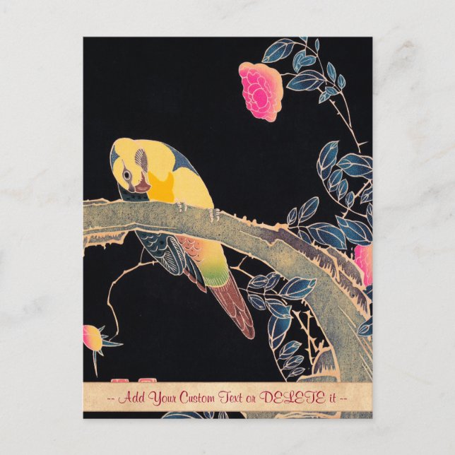 Parrot on the Branch of a Flowering Rose Bush Postcard (Front)