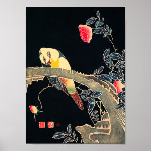 Parrot on the Branch of a Flowering Rose Bush Poster