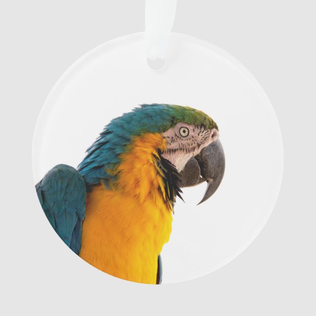 Parrot  ornament (Front)